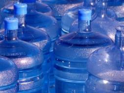 Suya damacana zamm�!