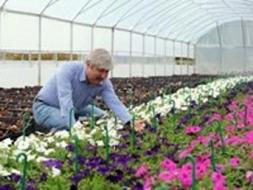 Y�ll�k 40 bin lira maa�, ama �al��an yok