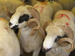 Kredi masraf�n� geri isteyenlere �ok!